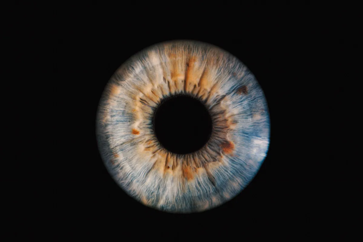 Blau-bernsteinfarbene Iris — Unikat